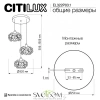 CITILUX EL322P03.1 Betsy Подвес CITILUX