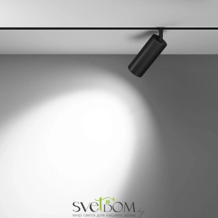 TR032-2-20W4K-M-B Maytoni