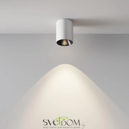 Потолочные светильники Maytoni C064CL-8W4K-RD-WB от Магазина Svetdom.by