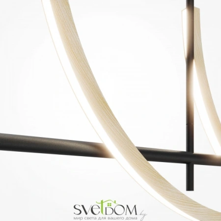 Подвесные светильники Maytoni MOD428PL-L20BK от Магазина Svetdom.by