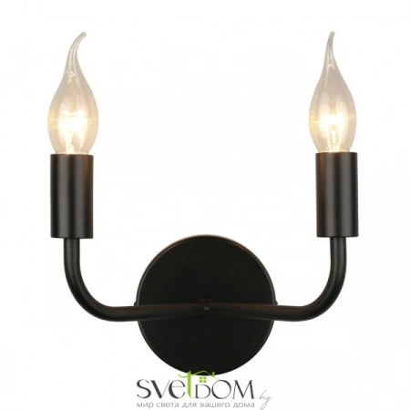 Настенные светильники APL.338.11.02 Aployt | Svetdom.by