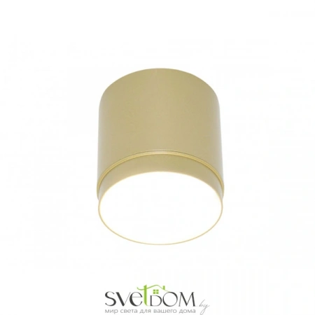 Потолочные светильники Maytoni C088CL-GX53-MG от Магазина Svetdom.by