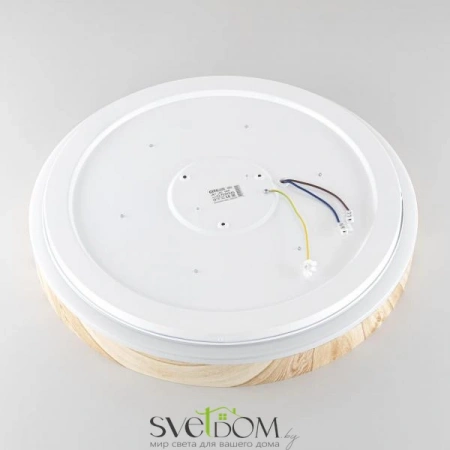 Потолочные светильники CITILUX CL753452G от Магазина Svetdom.by