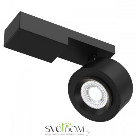 Светильники Maytoni C062CL-L12B4K от Магазина Svetdom.by
