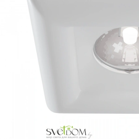 Светильники Maytoni DL007-1-01-W от Магазина Svetdom.by