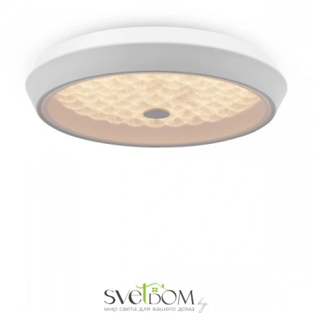 Фото Светильники Freya FR10012CL-L24W Светильники Freya FR10012CL-L24W от Магазина Svetdom.by