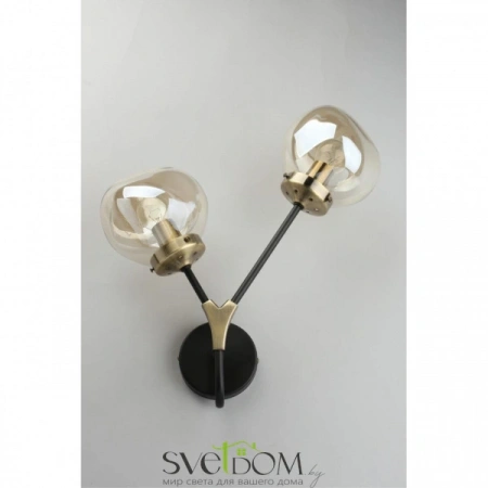 Настенные светильники OML-95101-02 Omnilux | Svetdom.by