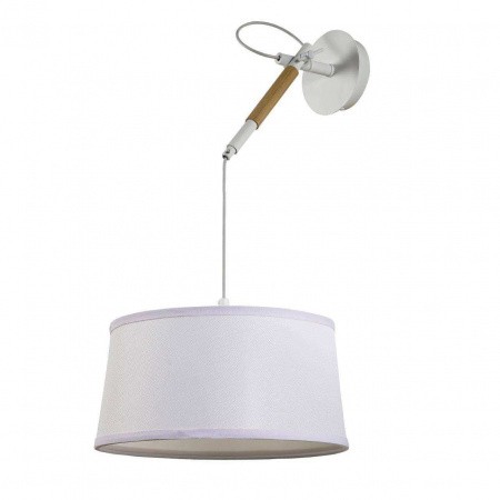 Настенно-потолочные светильники Favourite 3005-1P от Магазина Svetdom.by