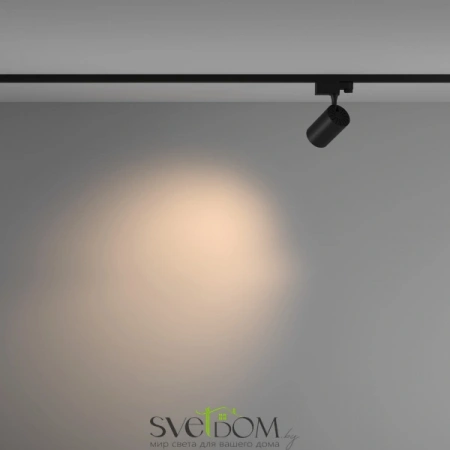 TR029-3-10W3K-M-B Maytoni