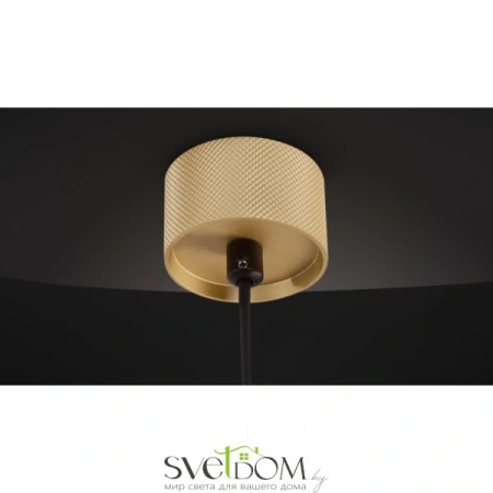 Подвесные светильники Maytoni P082PL-GU10-B от Магазина Svetdom.by