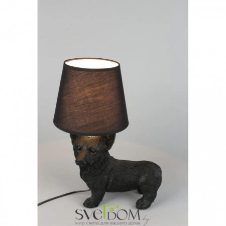 OML-16304-01 Omnilux