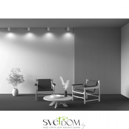 Фото Потолочные светильники Maytoni C016CL-01W Потолочные светильники Maytoni C016CL-01W от Магазина Svetdom.by