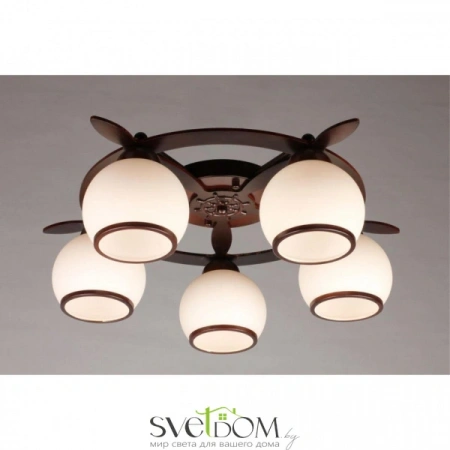 Люстры потолочныеOML-50507-05 Omnilux | Svetdom.by