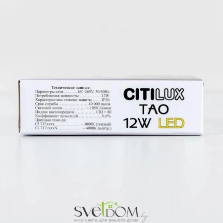 Накладные светильники CITILUX CL712120N от Магазина Svetdom.by