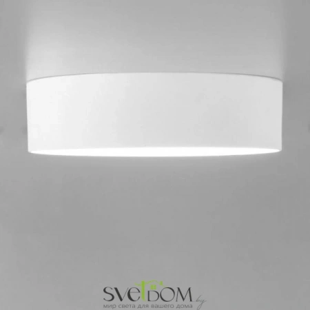 Накладные светильники CITILUX CL712120N от Магазина Svetdom.by