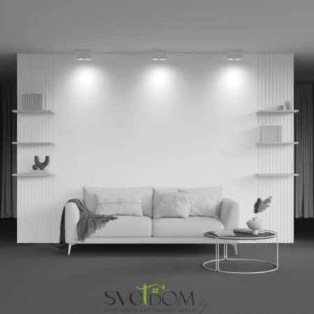 Потолочные светильники Maytoni C017CL-02W от Магазина Svetdom.by