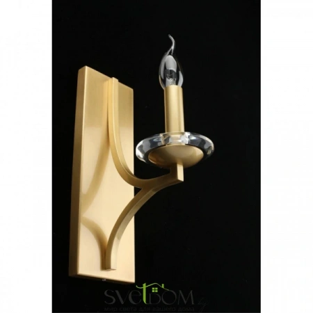 Настенные светильники APL.805.01.01 Aployt | Svetdom.by