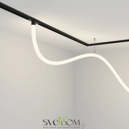 TR101-2-50W4K-B Maytoni