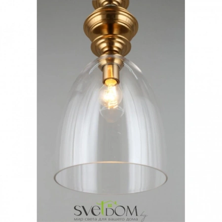 Подвесные светильники Aployt APL.602.16.01 от Магазина Svetdom.by