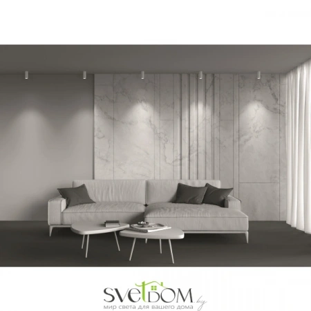 Потолочные светильники Maytoni C056CL-L12W3K-W-W от Магазина Svetdom.by