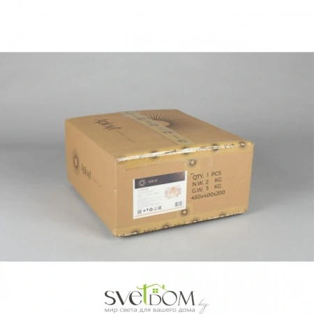 Настенные светильники APL.850.01.03 Aployt | Svetdom.by