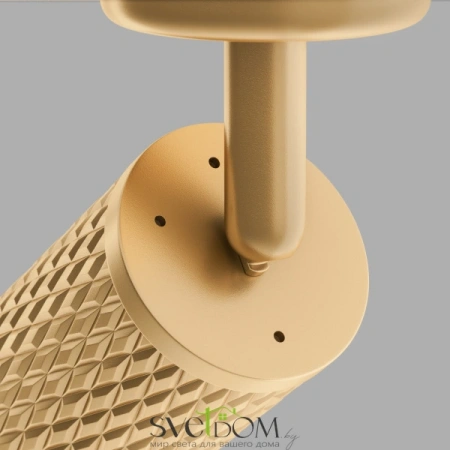 Потолочные светильники Maytoni C034CL-01G от Магазина Svetdom.by