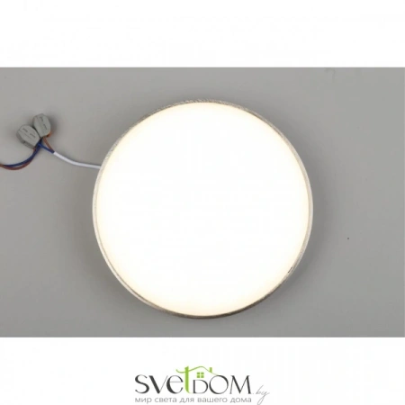 Настенно-потолочные светильники Aployt APL.0114.19.24 от Магазина Svetdom.by