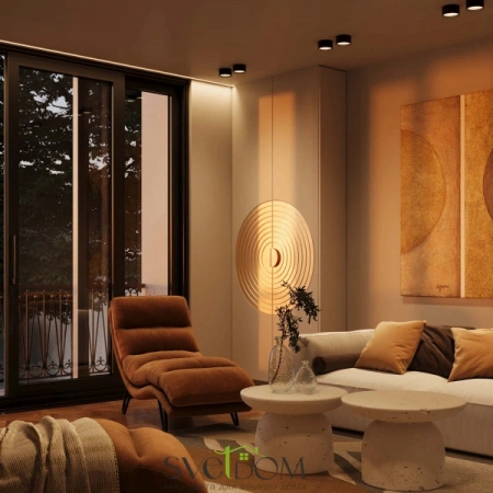 Потолочные светильники Maytoni C091CL-12W3K-B от Магазина Svetdom.by