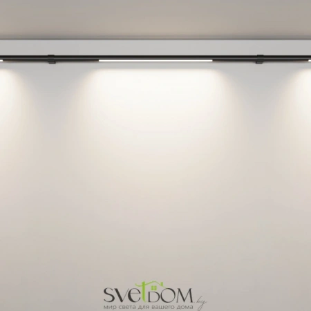 Светильники Maytoni C100CL-L500-12W3-6K-B от Магазина Svetdom.by