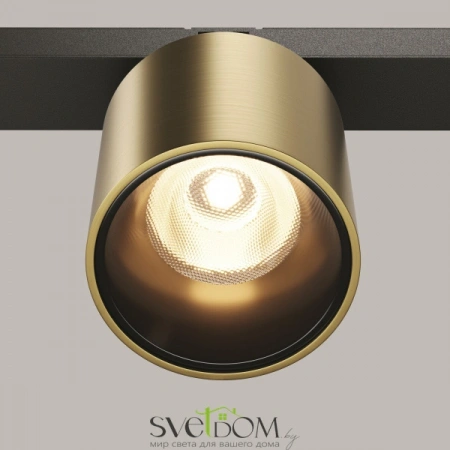 TR132-2-7W3K-BS Maytoni