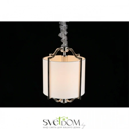 Подвесные светильники Aployt APL.727.06.01 от Магазина Svetdom.by
