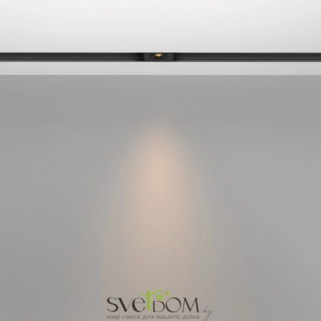 TR100-2-2W3K-S-B Maytoni