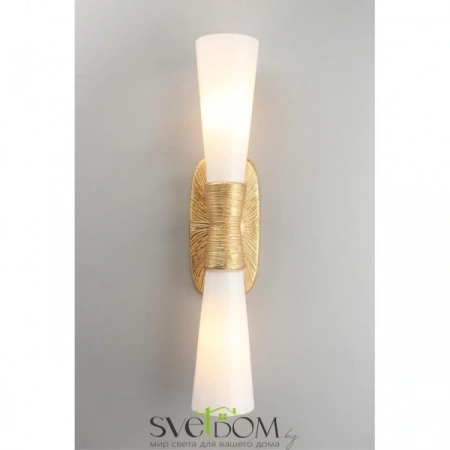 Настенные светильники APL.800.01.02 Aployt | Svetdom.by