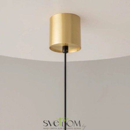 Подвесные светильники Maytoni P100PL-20W4K-BS от Магазина Svetdom.by