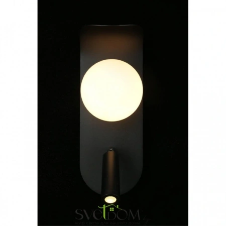 Настенные светильники APL.345.01.02 Aployt | Svetdom.by