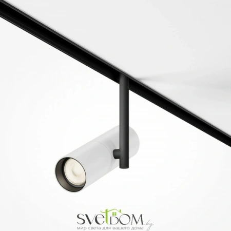 TR005-2-12W3K-BW Maytoni