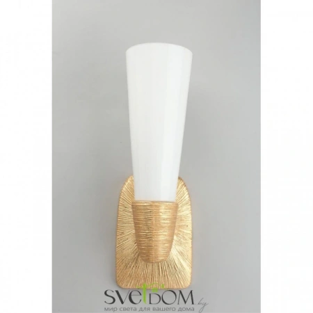 Настенные светильники APL.800.01.01 Aployt | Svetdom.by