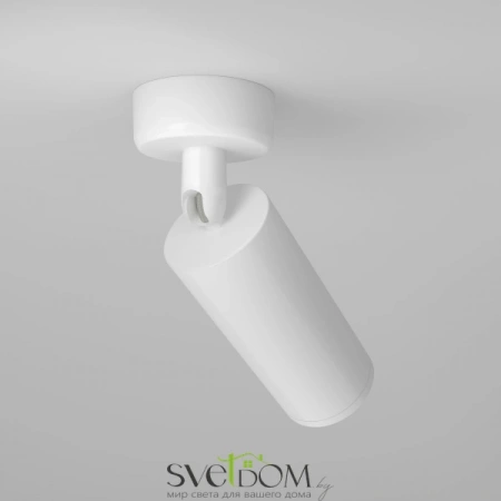 Фото Потолочные светильники Maytoni C017CW-01W Потолочные светильники Maytoni C017CW-01W от Магазина Svetdom.by