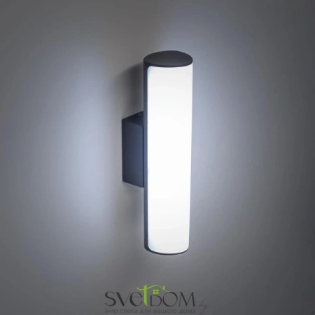 Citilux CLU0007 LED Уличный светильник Графит CITILUX