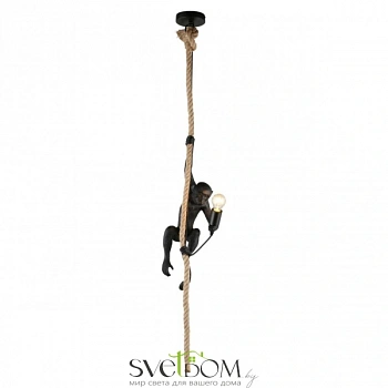 Светильник подвесной Aployt  APL.309.16.01