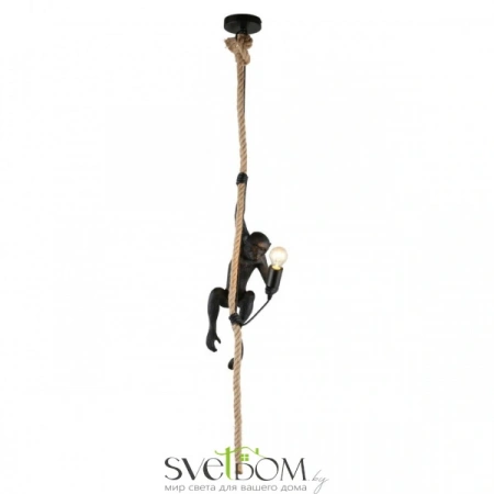 Подвесные светильники Aployt APL.309.16.01 от Магазина Svetdom.by