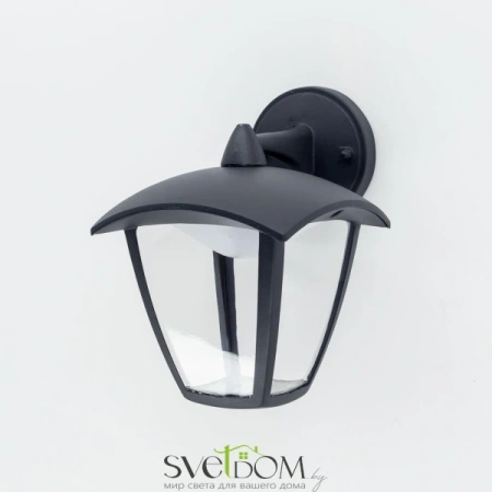 Citilux CLU04W2 LED Уличный настенный светильник Чёрный CITILUX