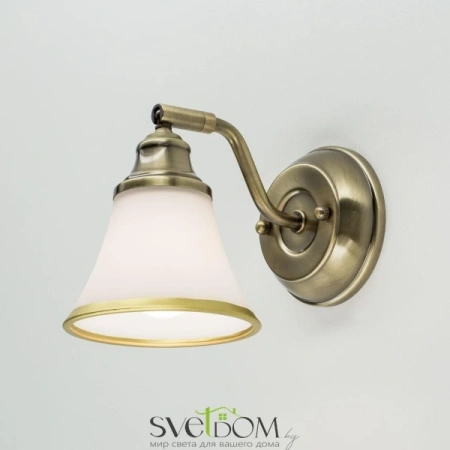 CL511513 CITILUX