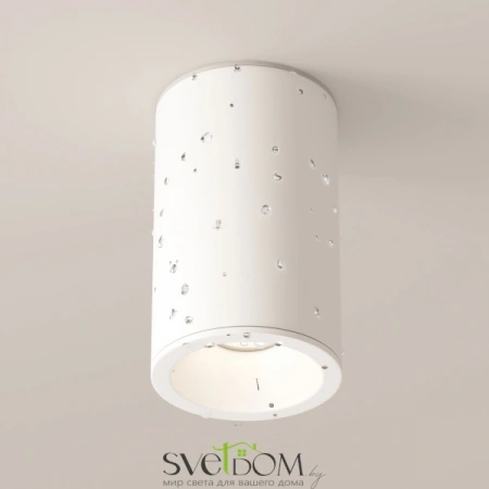 Потолочные светильники Maytoni C029CL-01-S-W от Магазина Svetdom.by