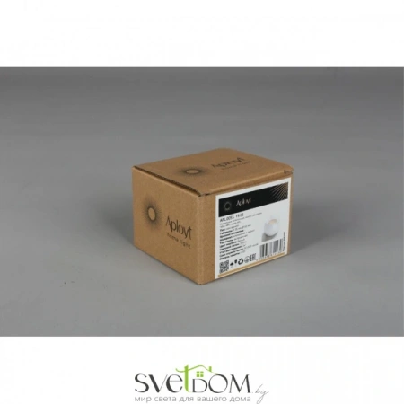 Накладные светильники Aployt APL.0055.19.05 от Магазина Svetdom.by