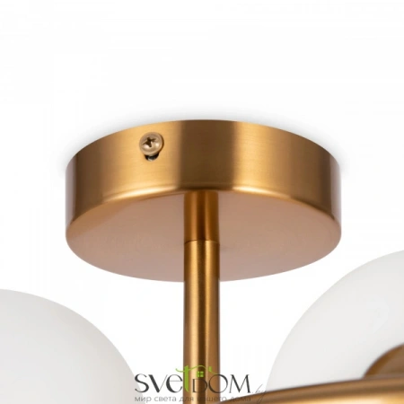 Бра и настенные светильники FR5124WL-02BS Freya | Svetdom.by