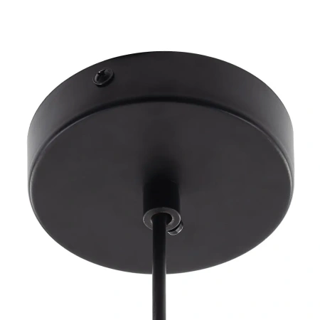 Подвесной светильник Citilux ORTON CL202212 G9 CITILUX