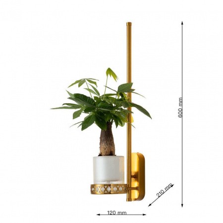 Настенные светильники 4050-1W Favourite | Svetdom.by