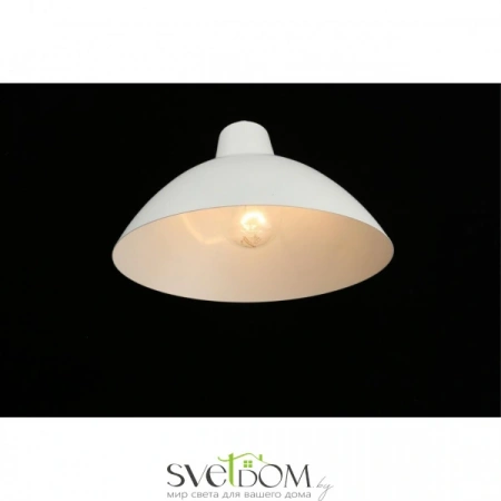 Настенные светильники APL.632.11.01 Aployt | Svetdom.by