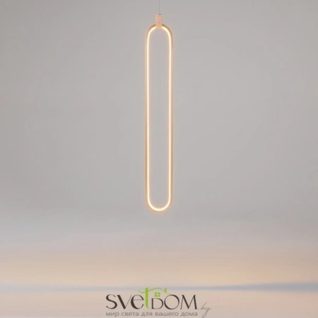 Подвесные светильники Maytoni MOD017PL-L13G от Магазина Svetdom.by